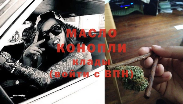 индика Слюдянка