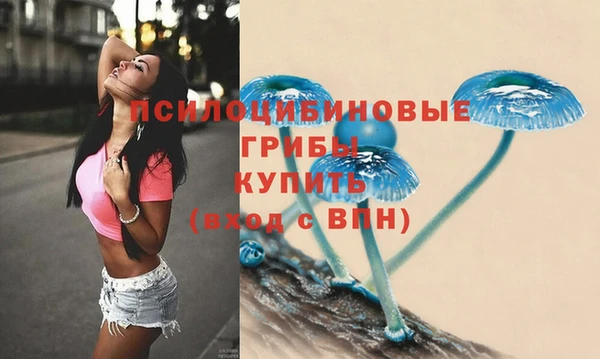 гашик Алзамай