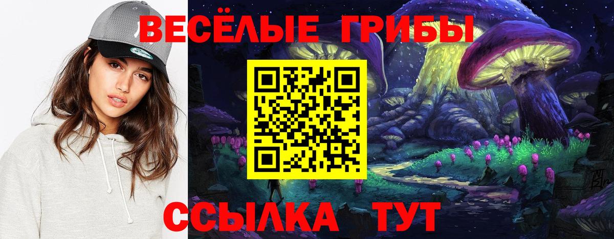 Галлюциногенные грибы Psilocybine cubensis  купить наркотики цена  Саянск  Вход с VPN 